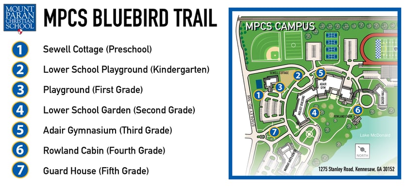 BluebirdTrail21